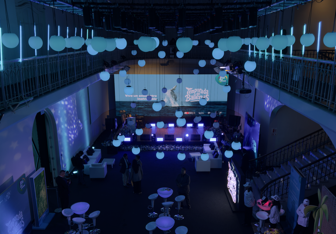 Temporada de Ballenas 2025