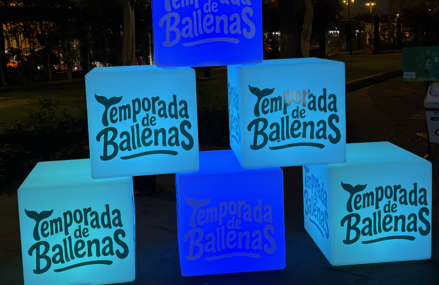 MOBILIARIO LED PERSONALIZABLE